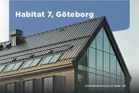 habitat 7 news thumbnail