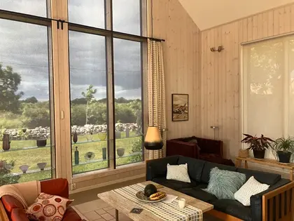 The curtains