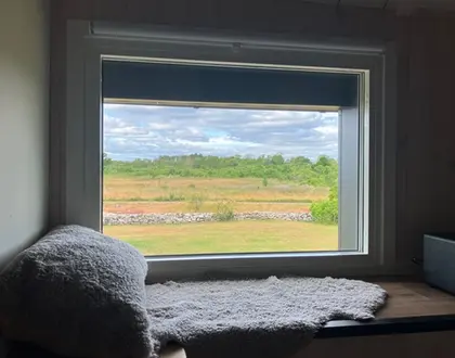 window view